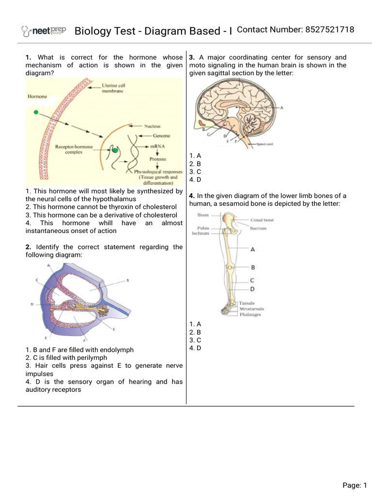 Biology Diagram-Based Test Questions | PDF | Stomach | Cell (Biology)
