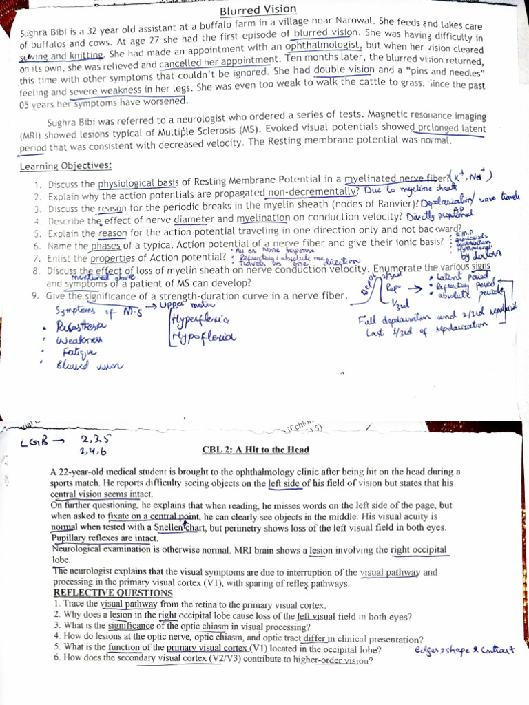 CBL Module 2 | PDF