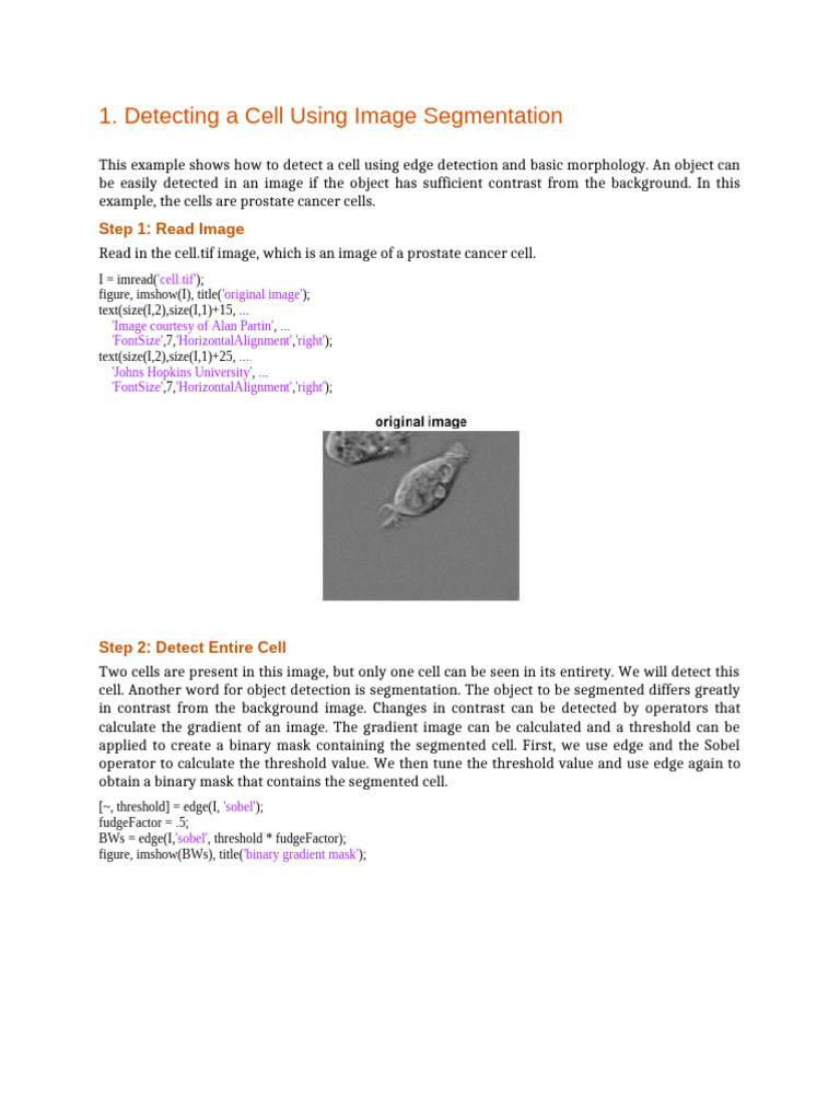 Cell Detection and Segmentation Techniques | PDF | Image Segmentation ...