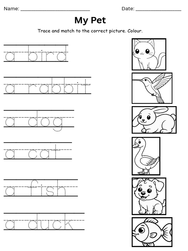 Pet Matching and Coloring Activity | PDF