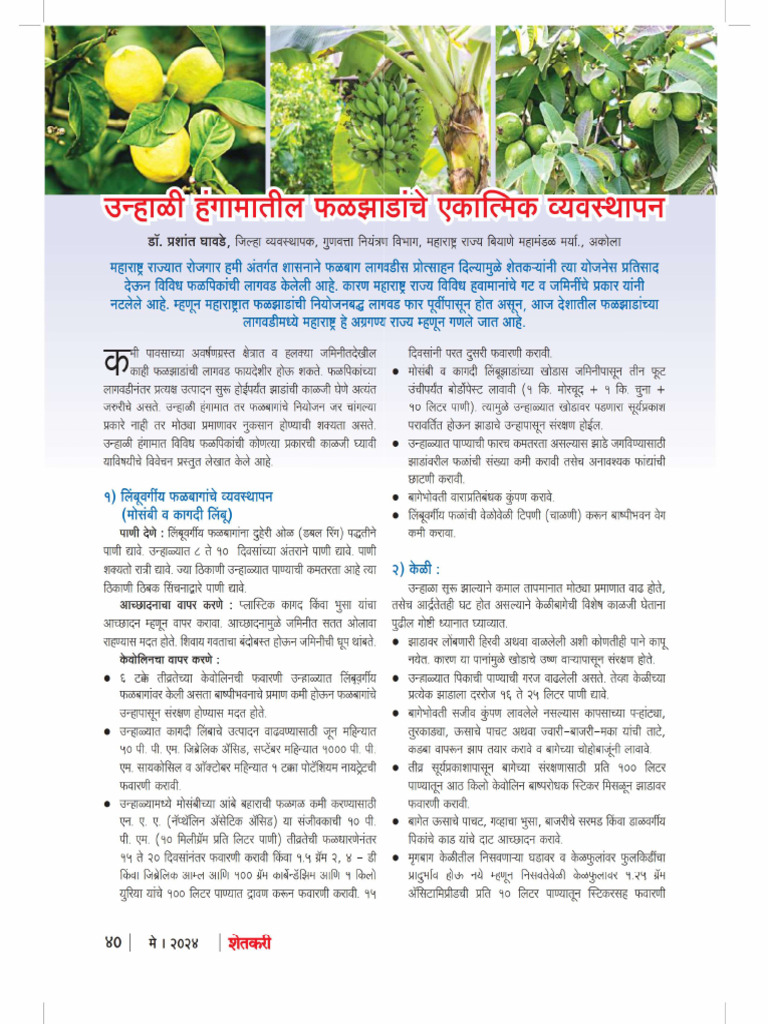 1 | PDF