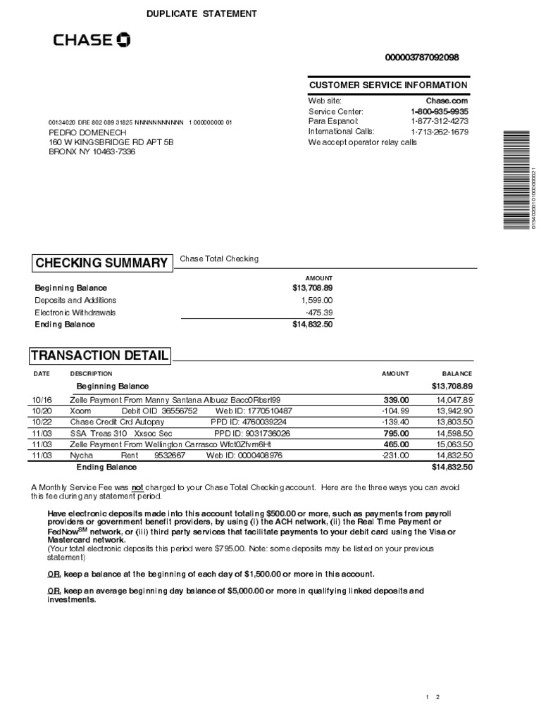 Chase Total Checking Statement Summary | PDF | Credit Card | Business