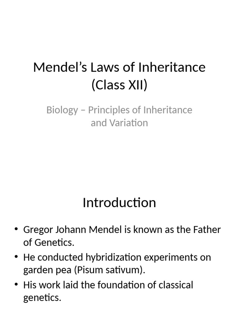 Mendels Laws Class 12 | PDF