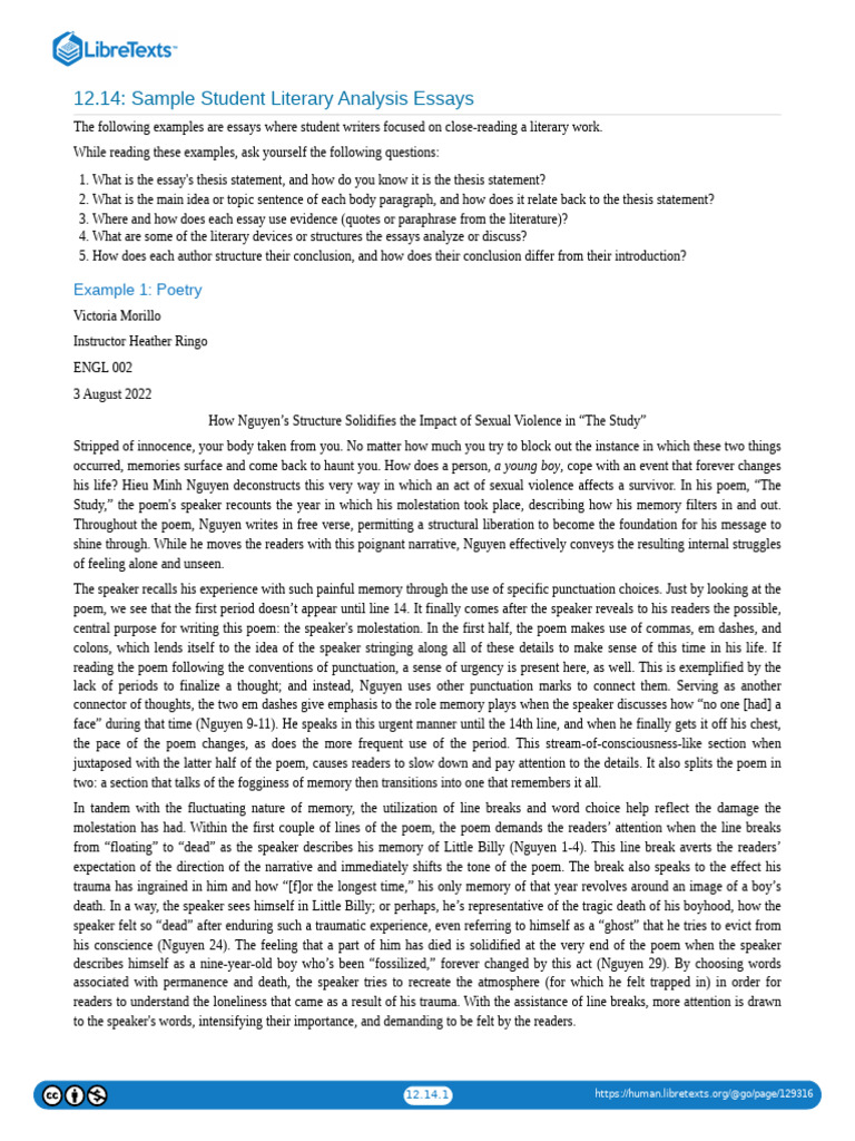Student Literary Analysis Essay Examples | PDF
