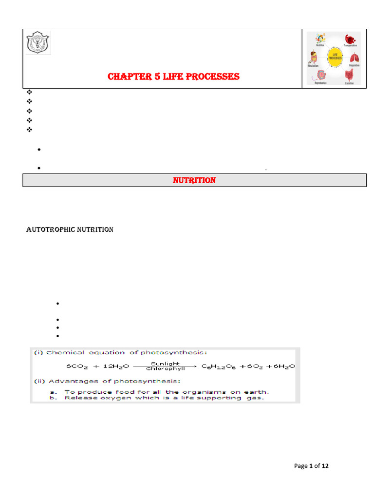 Class 10 CHP 5 Life Processes - Study Material - 2025-26 | PDF ...