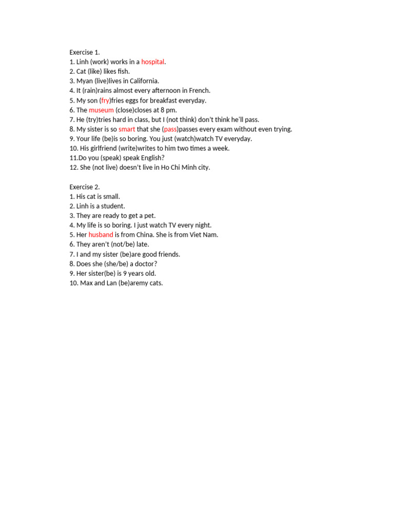 English Grammar Exercises for Beginners | PDF