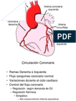 Circulación_coronaria