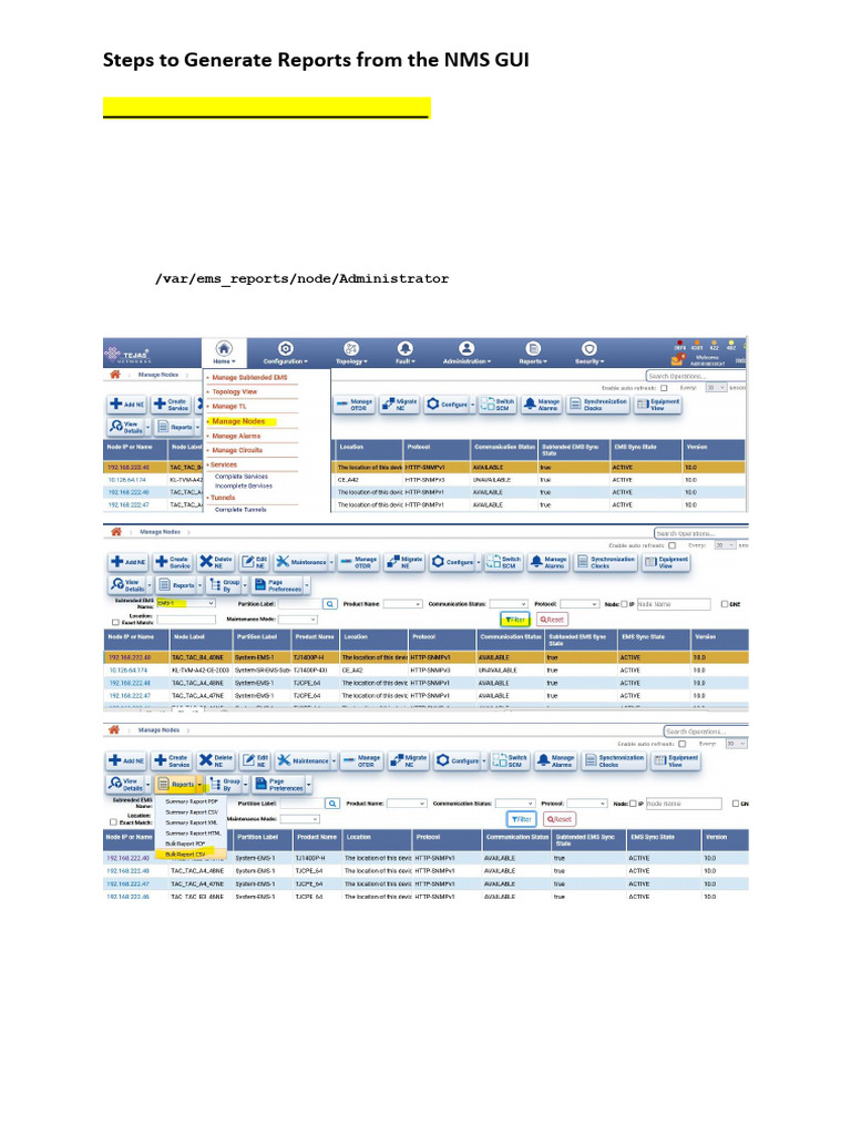 Generate NMS GUI Reports Guide | PDF