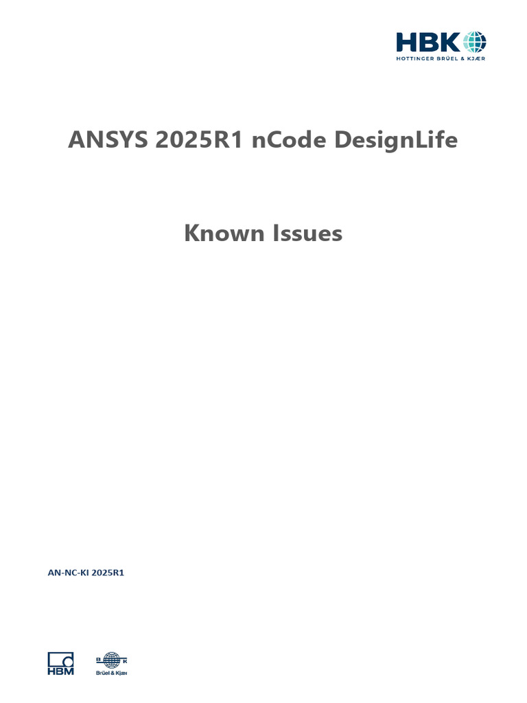 ANSYS nCode DesignLife 2025R1 Issues | PDF | Microsoft Excel ...