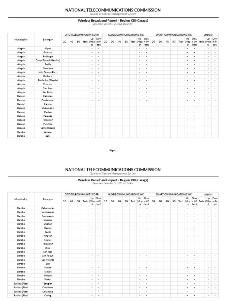 Caraga Wireless Broadband Report 2025 | PDF | 4 G | 3 G