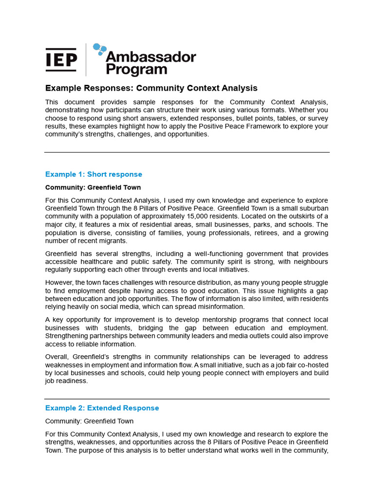 Community Context Analysis Examples | PDF | Mentorship