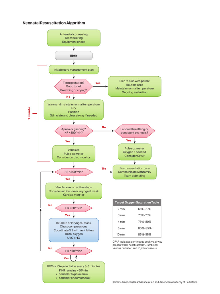 Neonatal and Pediatric Resuscitation Guidelines | PDF | Cardiopulmonary ...