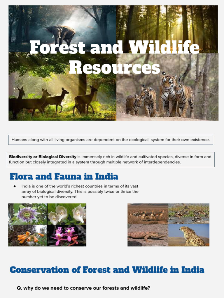 Conservation of India's Forests and Wildlife | PDF | Biodiversity ...