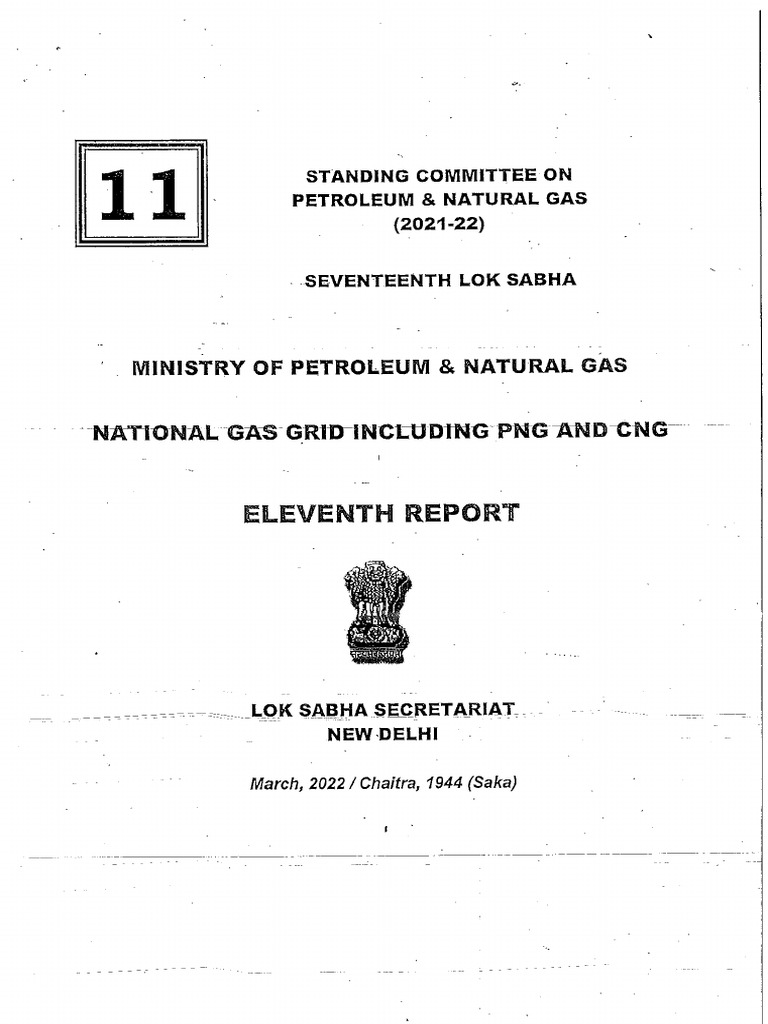 Lsscommittee Petroleum & Natural Gas 17 Petroleum and Natural Gas 11 | PDF
