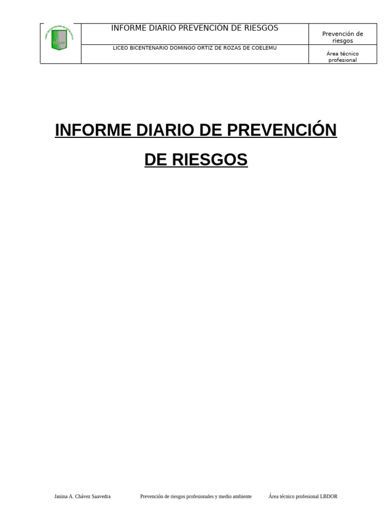 Informe Diario de Prevención de Riesgos | PDF