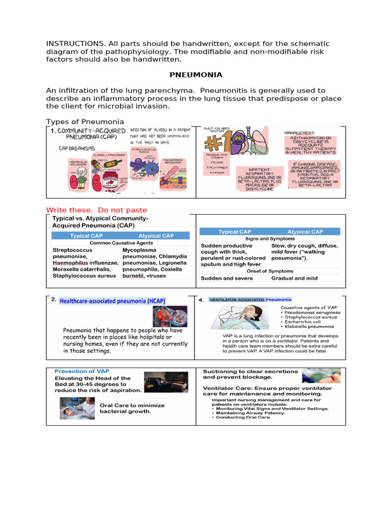 1st Respiratory Infectious Diseases To Vector Borne Infestations | PDF ...