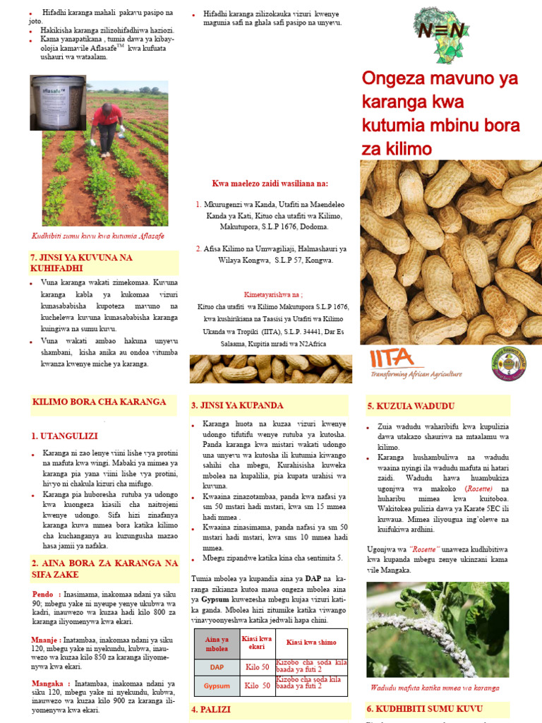 Groundnut Brochure, Tanzania | PDF