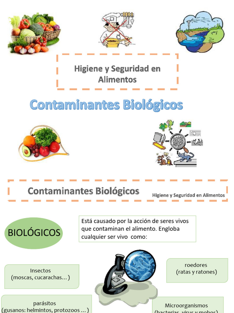 Plagas y Microorganismos en Alimentos | PDF | Biología
