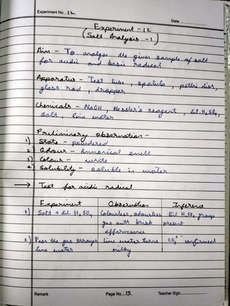 Chemistry Experiment Log Template | PDF