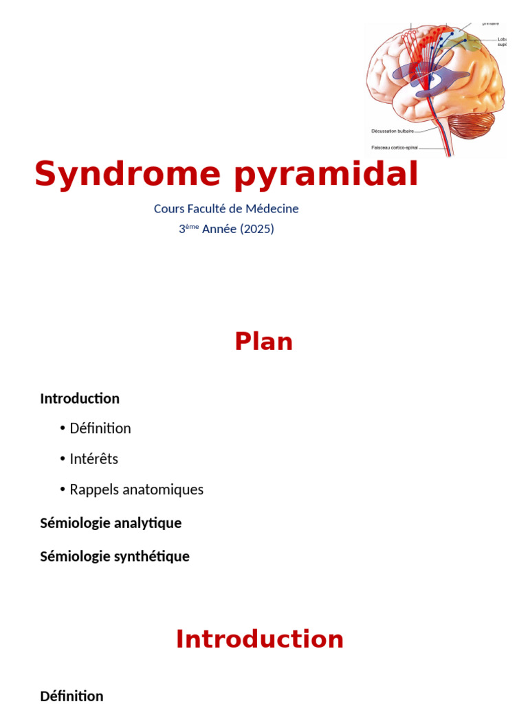Comprendre le syndrome pyramidal | PDF | Système nerveux | Anatomie humaine