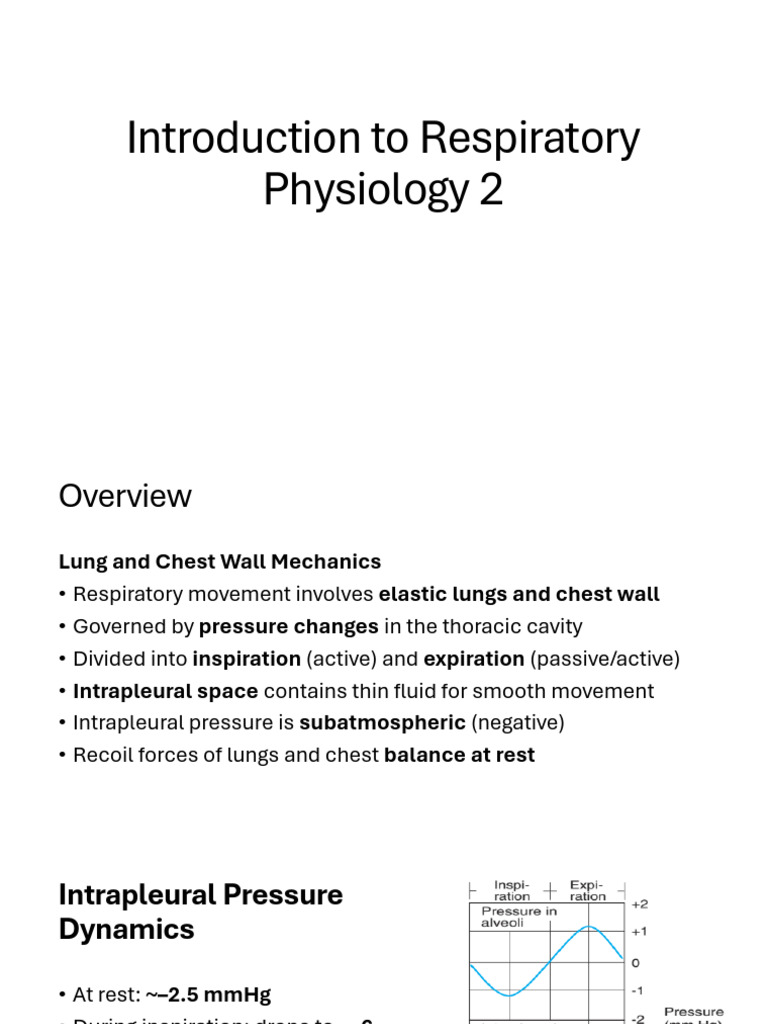 Respiratory Physiology Overview and Mechanisms | PDF | Exhalation | Lung