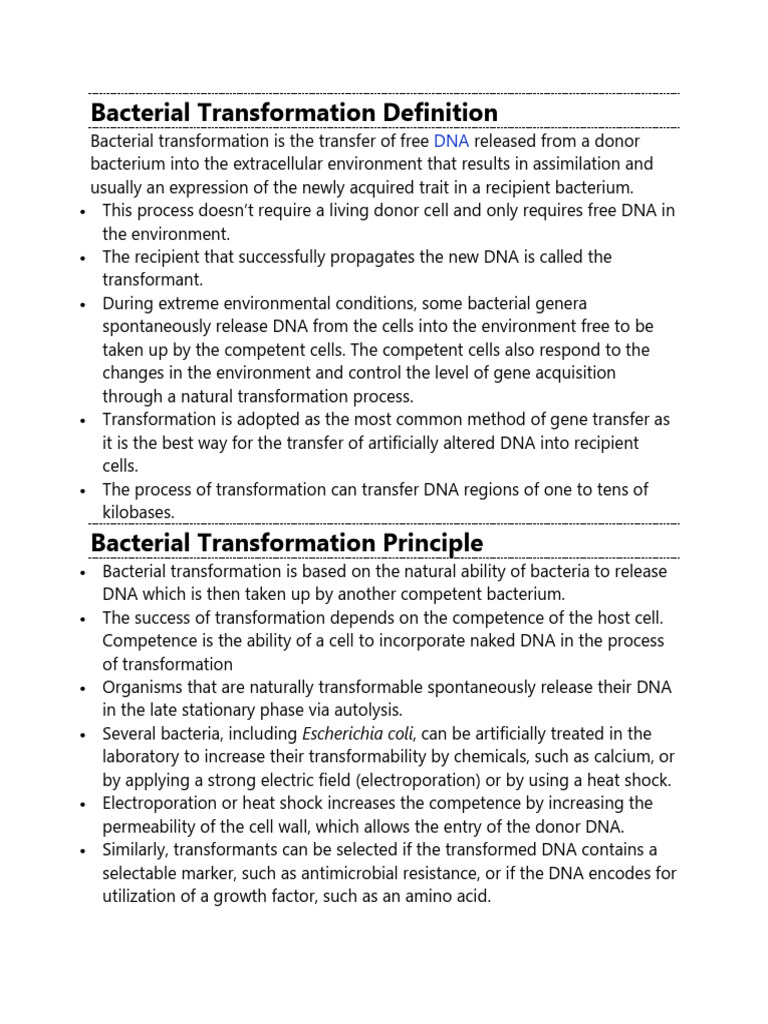 Understanding Bacterial Transformation Process | PDF | Plasmid | Bacteria