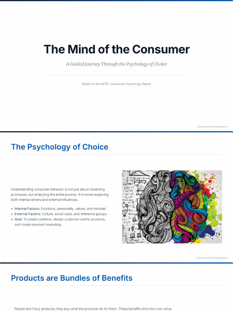 The Mind of The Consumer | PDF
