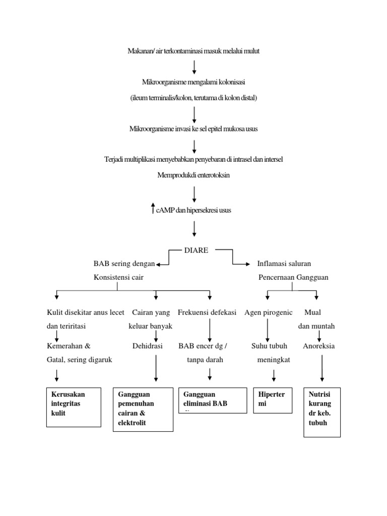 Pathways Disentri | PDF | Kesehatan Holistik | Sains & Matematika