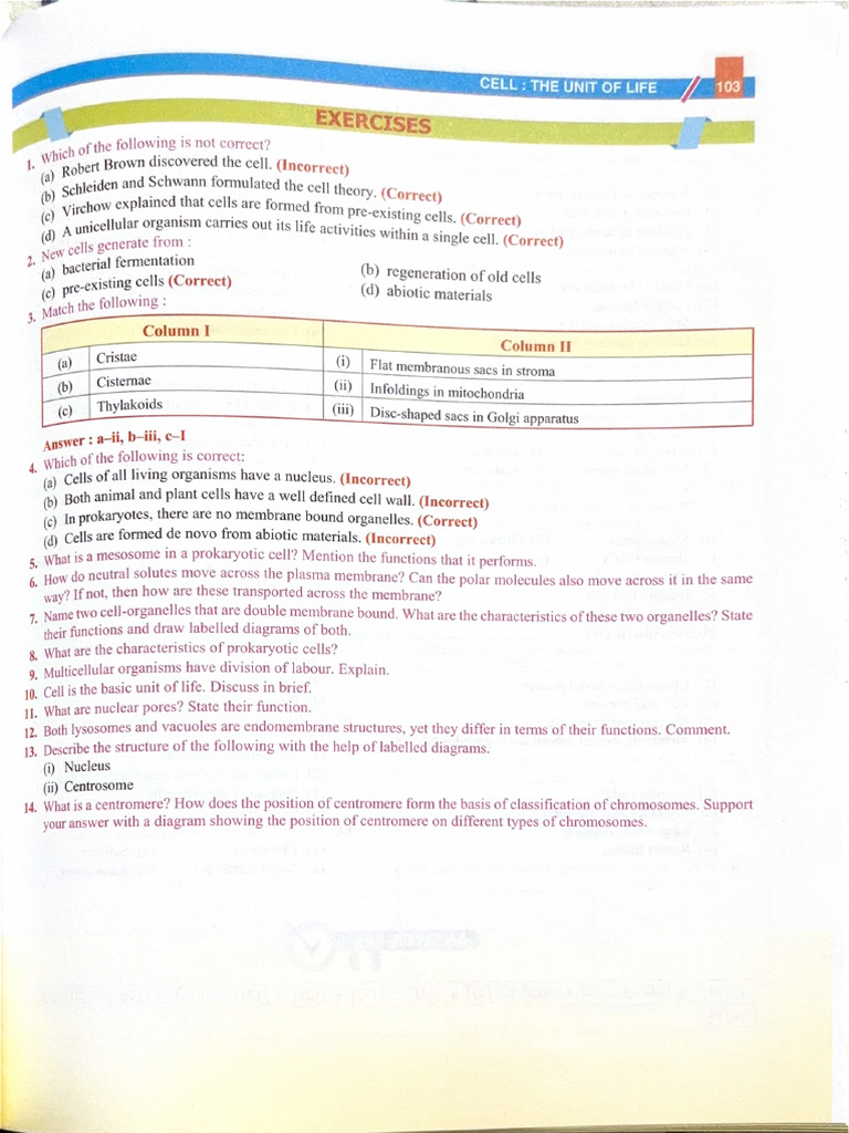 Not Out 90 Unit 3 & 4 Class 11 | PDF