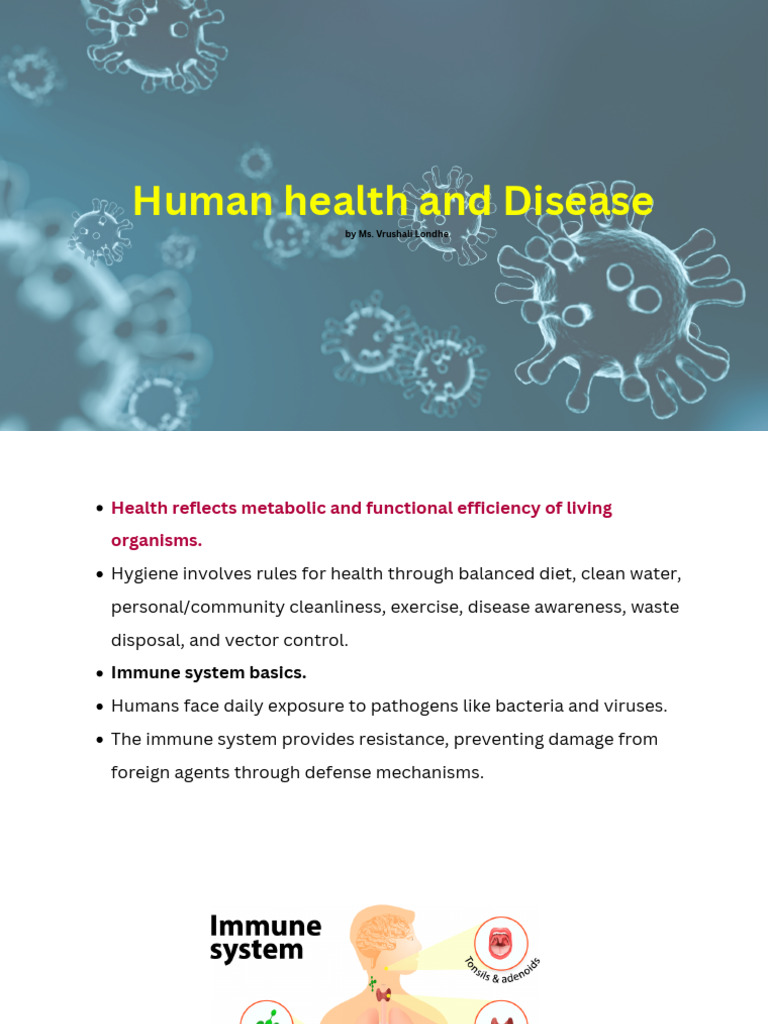 Understanding Human Immunity Basics | PDF | Immune System | Adaptive ...