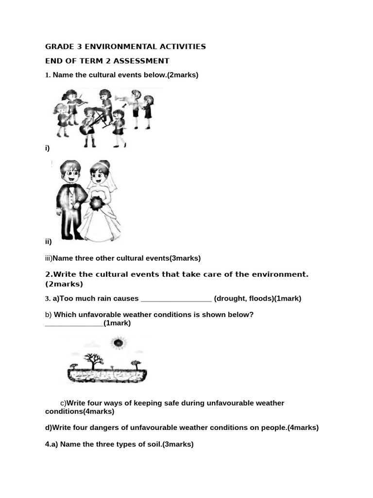 Grade 3 Environmental Assessment Guide | PDF