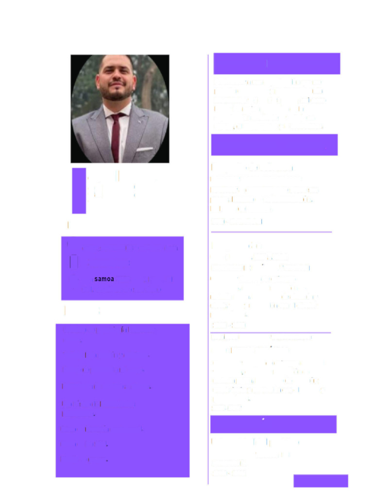 Cv Daniel Sanchez 111 | PDF | Microsoft | Business