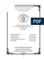 Download Laporan Praktikum BK Karir by Era Puspita SN97650957 doc pdf