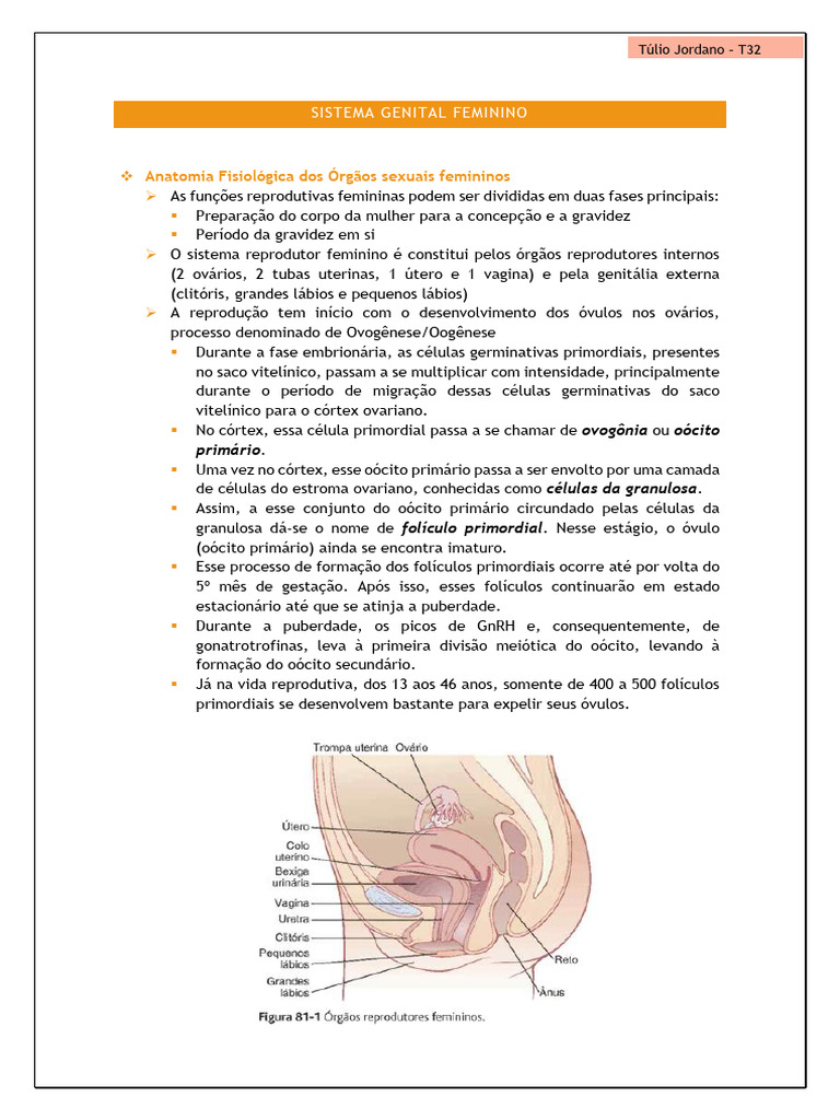 Anatomia e Ciclo do Sistema Reprodutor Feminino | PDF | Hormônio ...