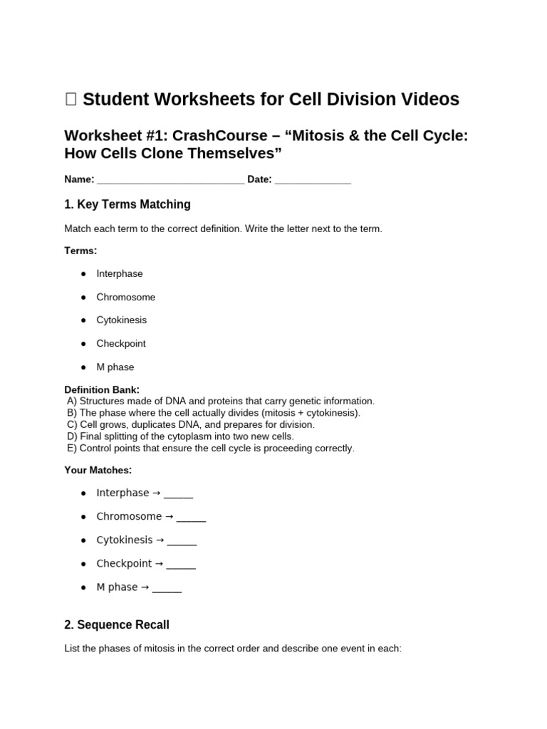 Cell Division Worksheets for Students | PDF | Mitosis | Meiosis