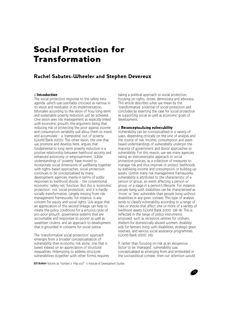 Transformative Social Protection Strategies | PDF | Social Protection ...