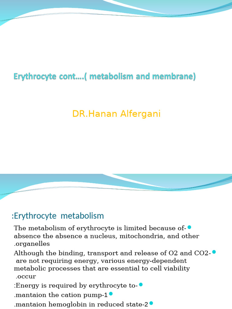 Erythrocyte Cont.. | PDF | Red Blood Cell | Cell Membrane