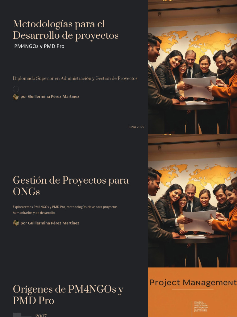 06 Gestion de Proyectos para ONGs | PDF | Gestión de proyectos ...