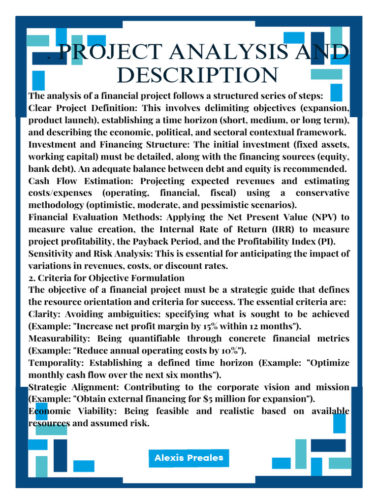 Financial Project Analysis Guide | PDF