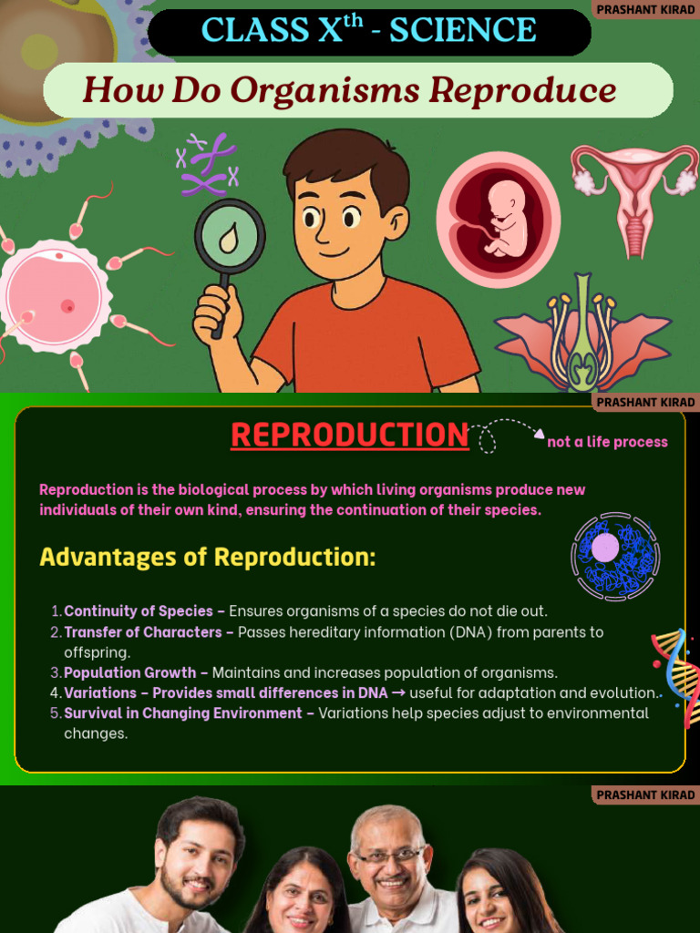Understanding Organism Reproduction | PDF | Flowers | Pollination