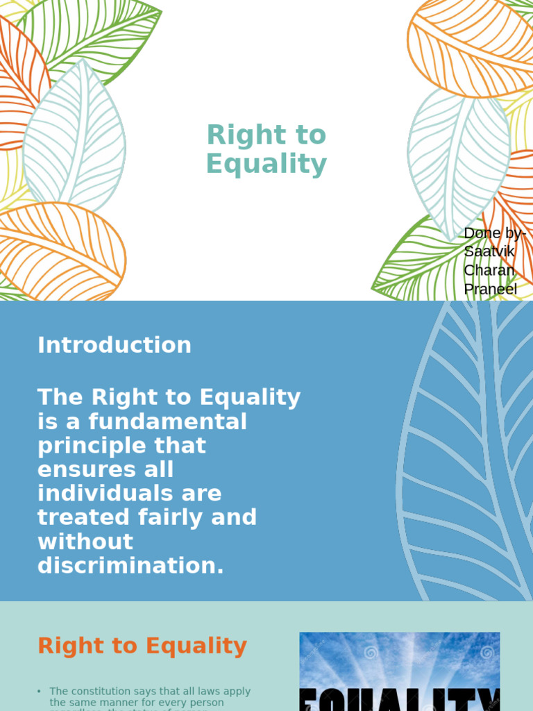 Right to Equality | PDF