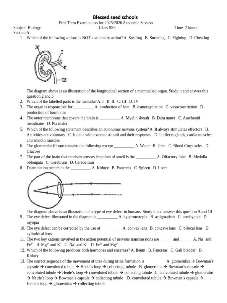 SS3 Biology Exam Questions 2025/2026 | PDF | Ear | Endocrine System