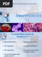 Streptococcus 2