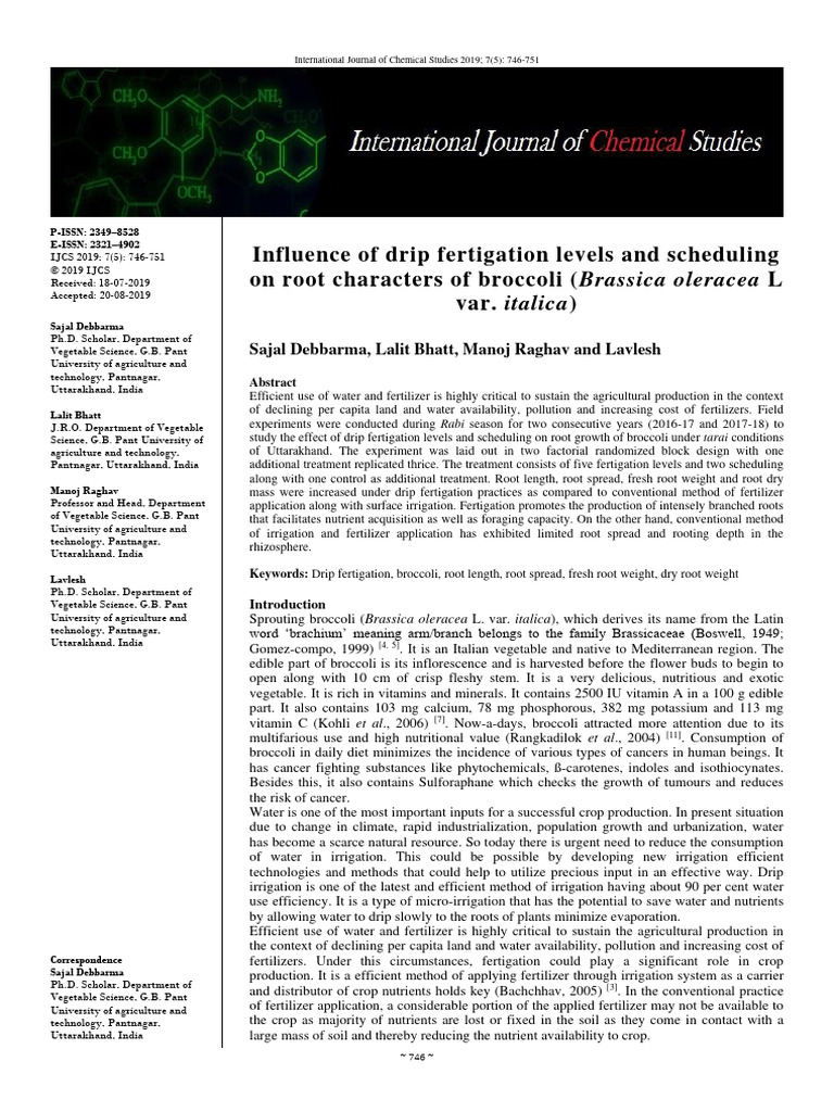 Drip Fertigation Effects on Broccoli Roots | PDF | Fertilizer | Root