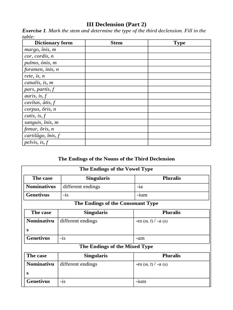 Third Declension Noun Exercises | PDF