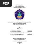 Download Laporan Praktikum Bk KarirSma Kesehatan Bhaktyasa Kelas Bk 4 c by Dec Day SN97665428 doc pdf