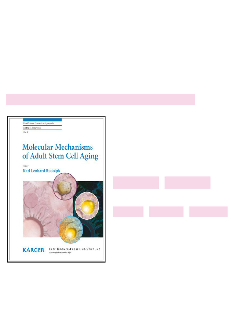 Molecular Mechanisms of Adult Stem Cell Aging Else Kroner Fresenius ...