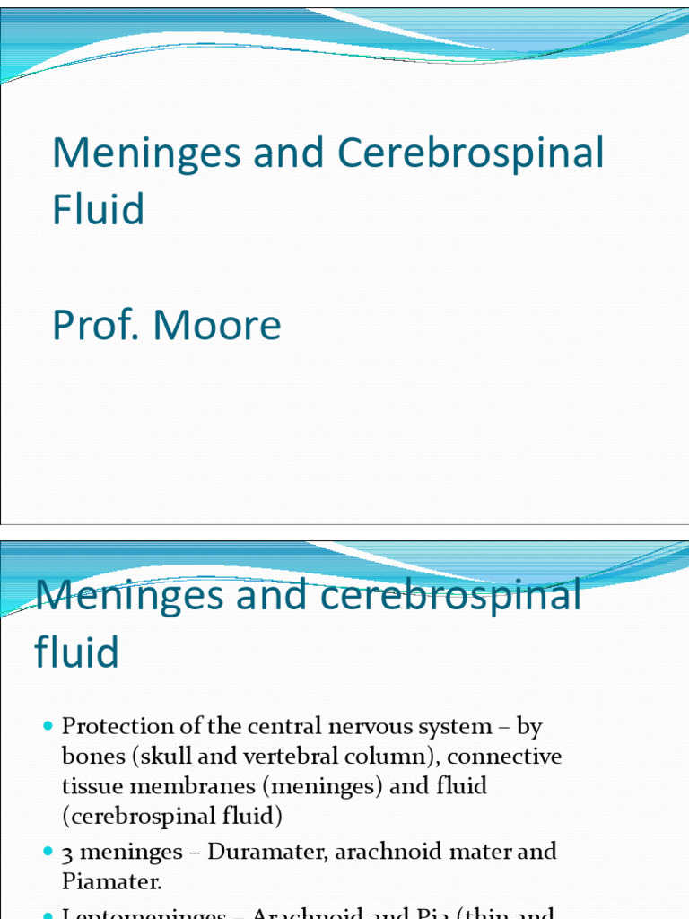 Meninges, CSF, and Meningitis Overview | PDF | Cerebrospinal Fluid ...