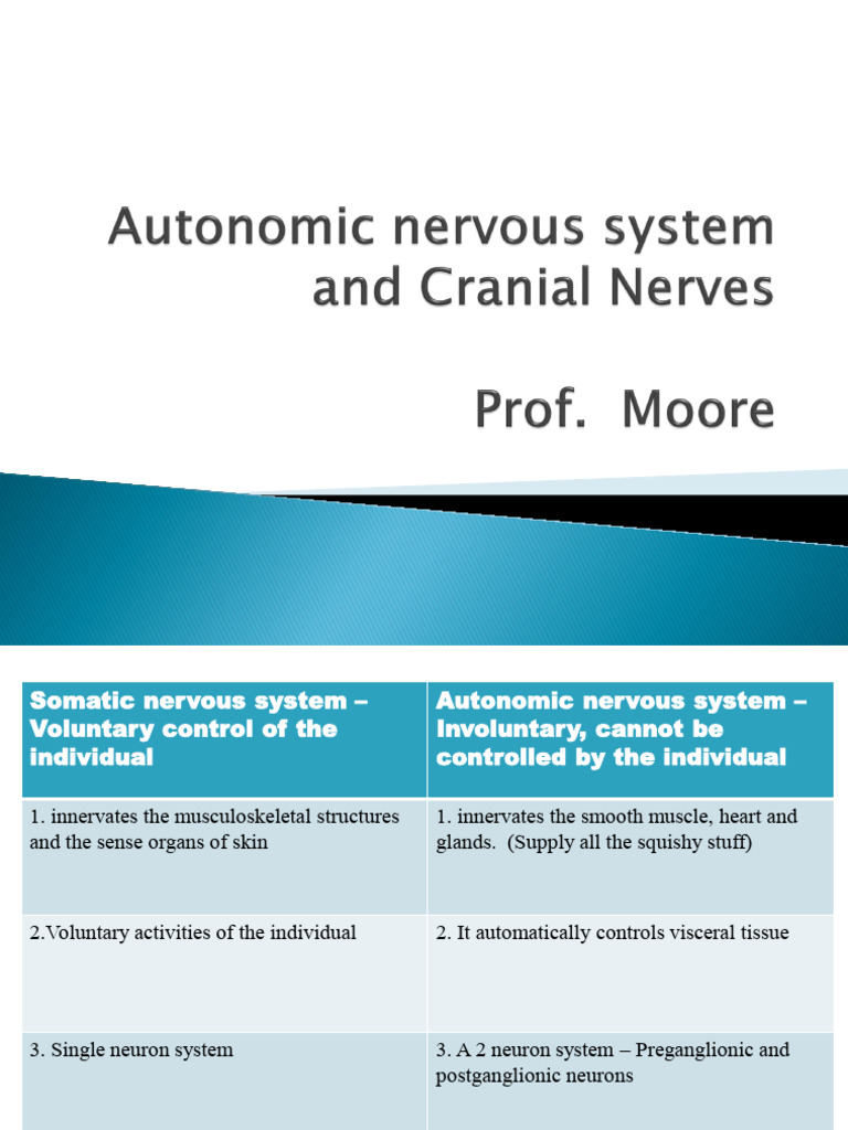 Overview of Nervous System Functions | PDF | Autonomic Nervous System ...