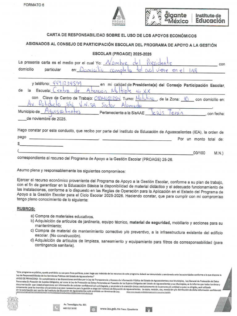 Ejemplo Formato 6 | PDF